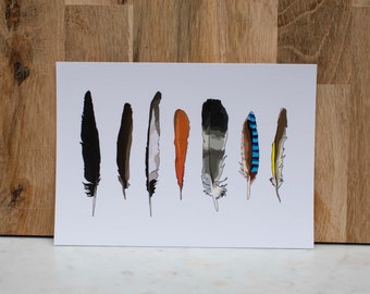Postcard "FEATHERS"