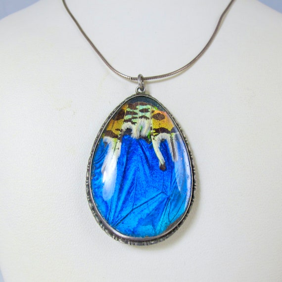 Large Blue Butterfly with Teardrop Necklace Large Blue Butterfly with Teardrop Necklace