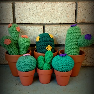 5 Small and Large Crochet Cacti Patterns PLUS flower pattern