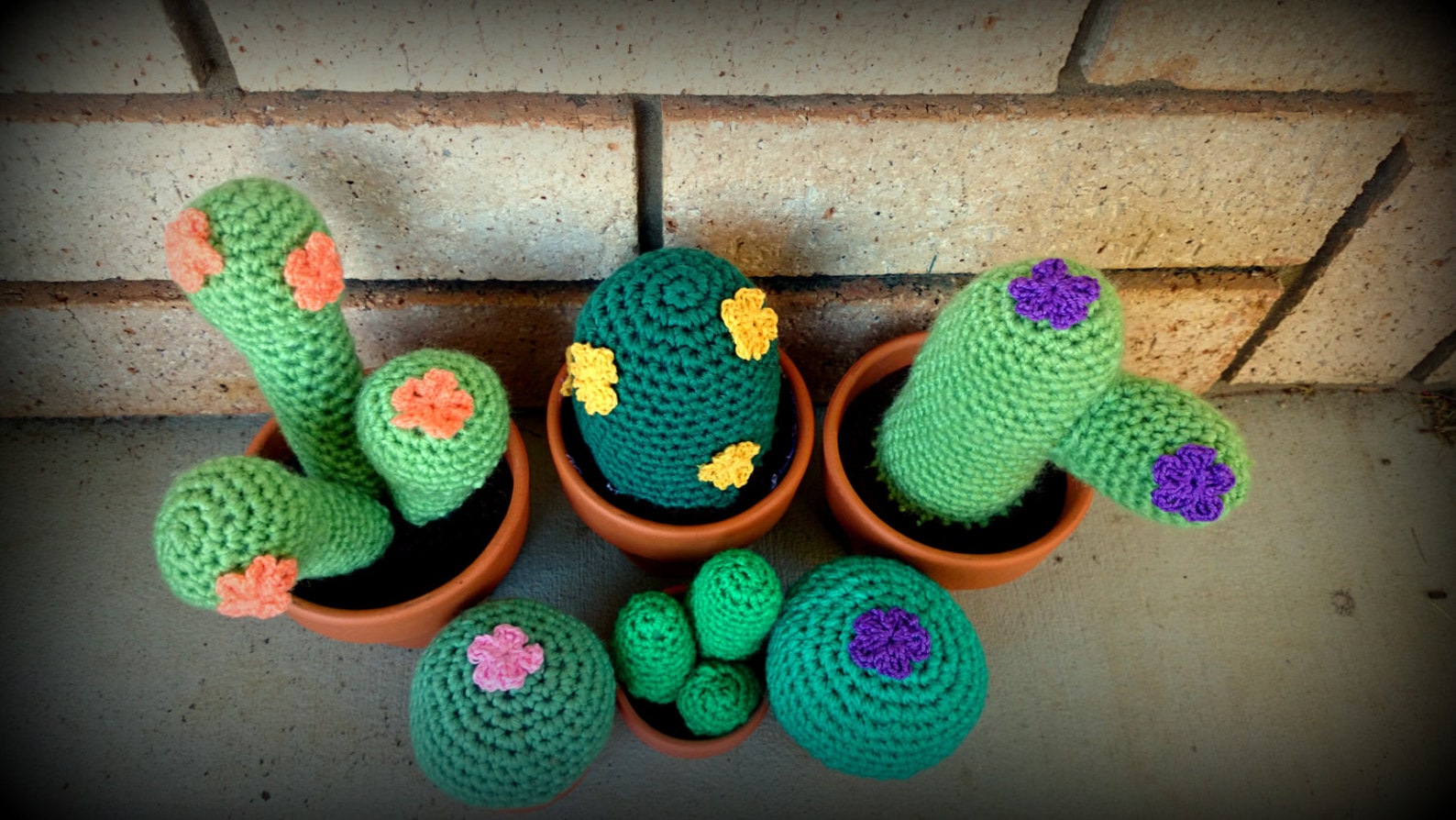 5 Small and Large Crochet Cacti Patterns PLUS Flower Pattern - Etsy