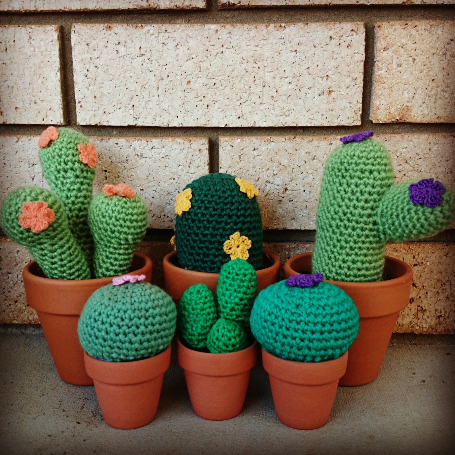 5 Small and Large Crochet Cacti Patterns PLUS Flower Pattern Etsy
