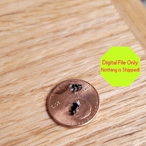 Puede incluir: Dos pequeños insectos negros y blancos sobre una moneda de un centavo de dólar estadounidense. La moneda está sobre una superficie de madera.