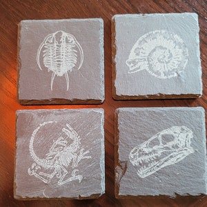 set of 4 fossil replica slate coasters image 3