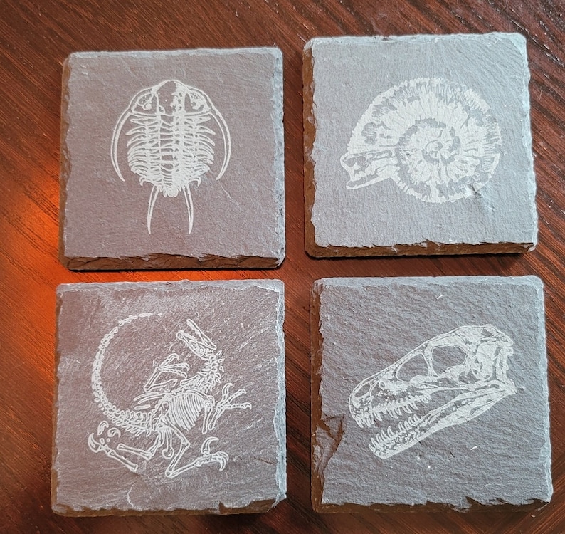 set of 4 fossil replica slate coasters image 3