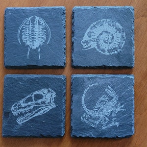 set of 4 fossil replica slate coasters image 1