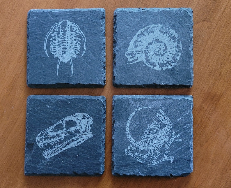 set of 4 fossil replica slate coasters image 1