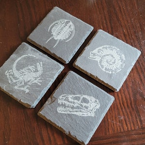 set of 4 fossil replica slate coasters image 2