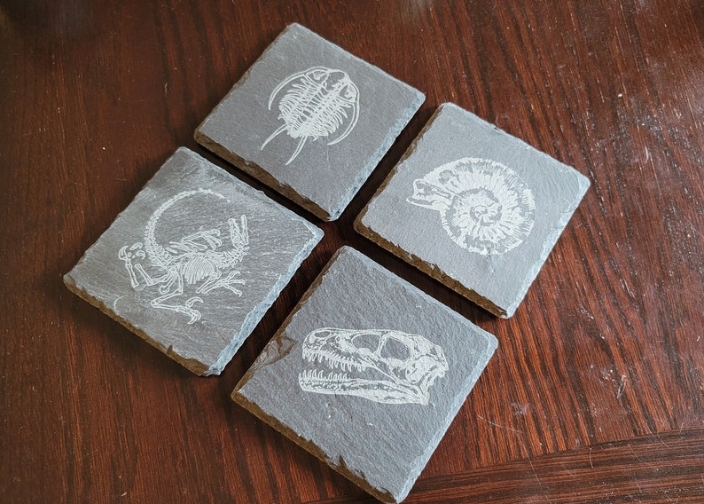 set of 4 fossil replica slate coasters image 2