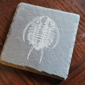 set of 4 fossil replica slate coasters image 6