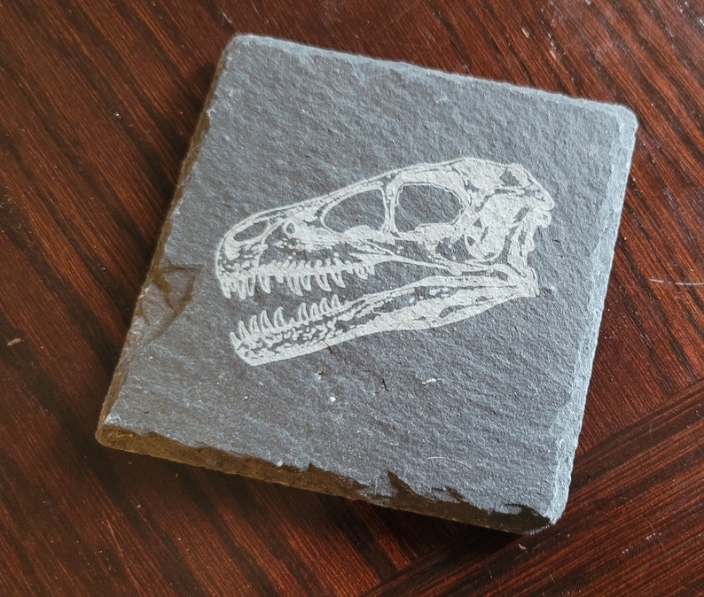 set of 4 fossil replica slate coasters image 7