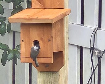 Chickadee Winter Roosting box.