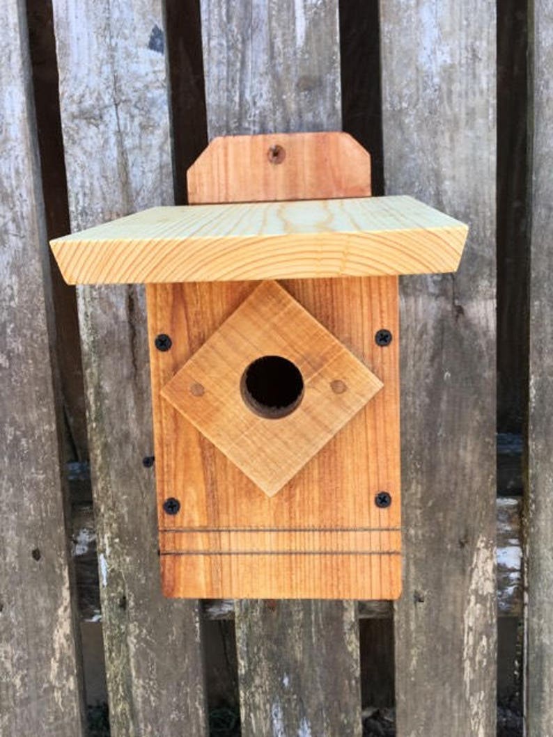 Chickadee Nesting Box. Natural boiled linseed oil finish. Etsy