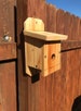 Chickadee Winter Roosting box. 