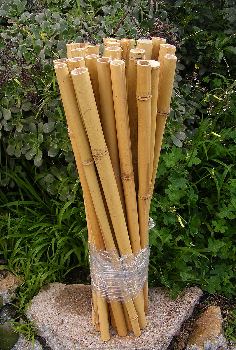 Natural Bamboo Poles Garden Stakes 25 Pieces Craft Art Etsy