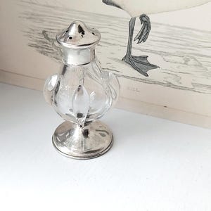 Könnte beinhalten: Ein klarer Salzstreuer aus Glas mit einem silberfarbenen Metallsockel und -deckel. Der Streuer hat einen bauchigen Körper mit einem dekorativen Design und einem kleinen, runden Sockel. Der Deckel hat mehrere kleine Löcher zum Dosieren von Salz. Er steht vor einer Vintage-Illustration.