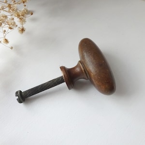 Könnte beinhalten: Ein brauner, ovaler Schrankknopf mit einem Schraubstiel. Der Knopf ist aus Holz und hat eine leicht abgenutzte Oberfläche.