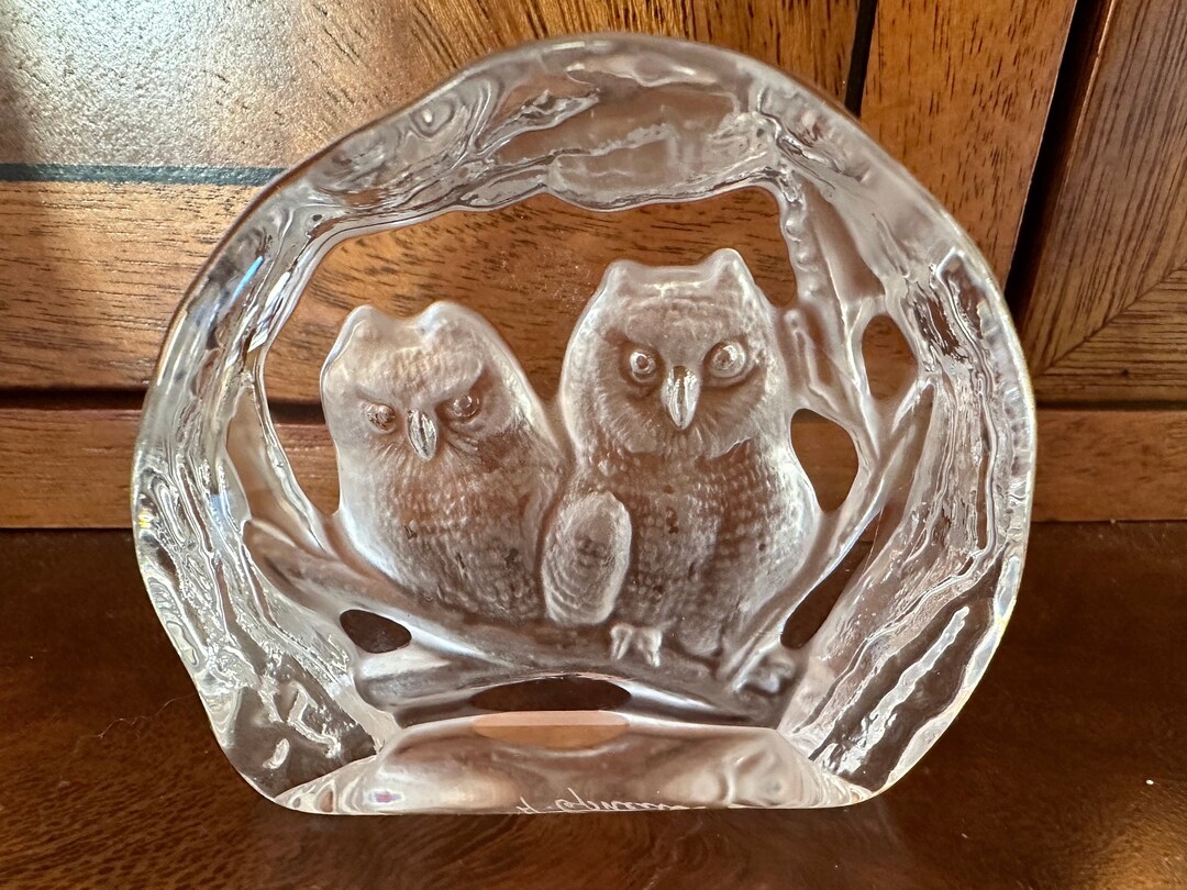 A Beautiful Dartington Glass Paperweight With Repoussé Owls. Etsy