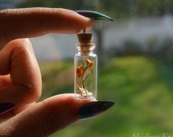 Mushroom fairy bottle necklace, genuine preserved mushrooms in vial, tiny bottle necklace SMALL