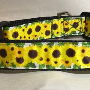 Sunny Sunflowers 1” wide dog collar