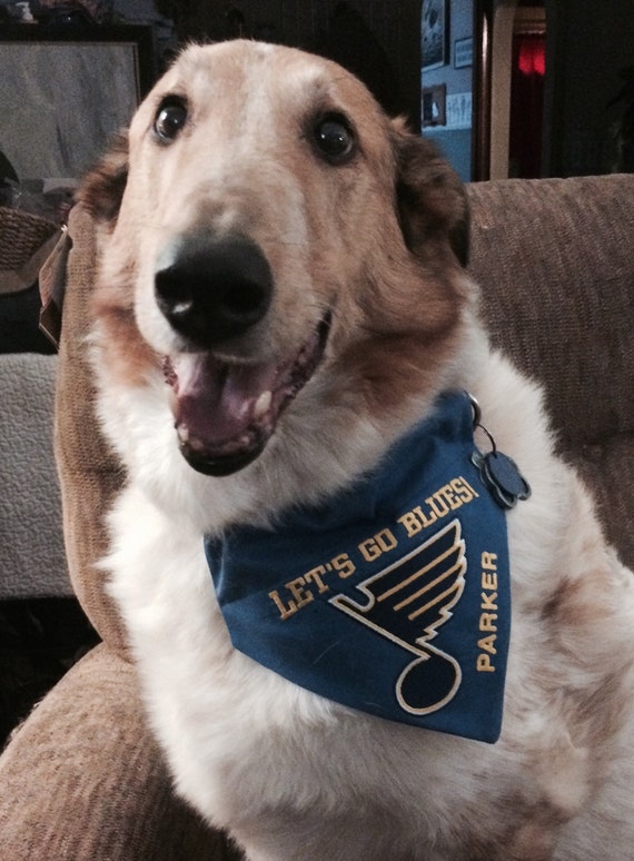 St. Louis Cardinal Baseball Dog Bandana