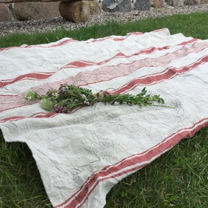 May include: A rectangular off-white fabric cloth featuring horizontal red stripes of varying widths. The textile has a visible wrinkled texture and is draped across the ground. A small bundle of green stems with purple and white flowers is tied with twine.