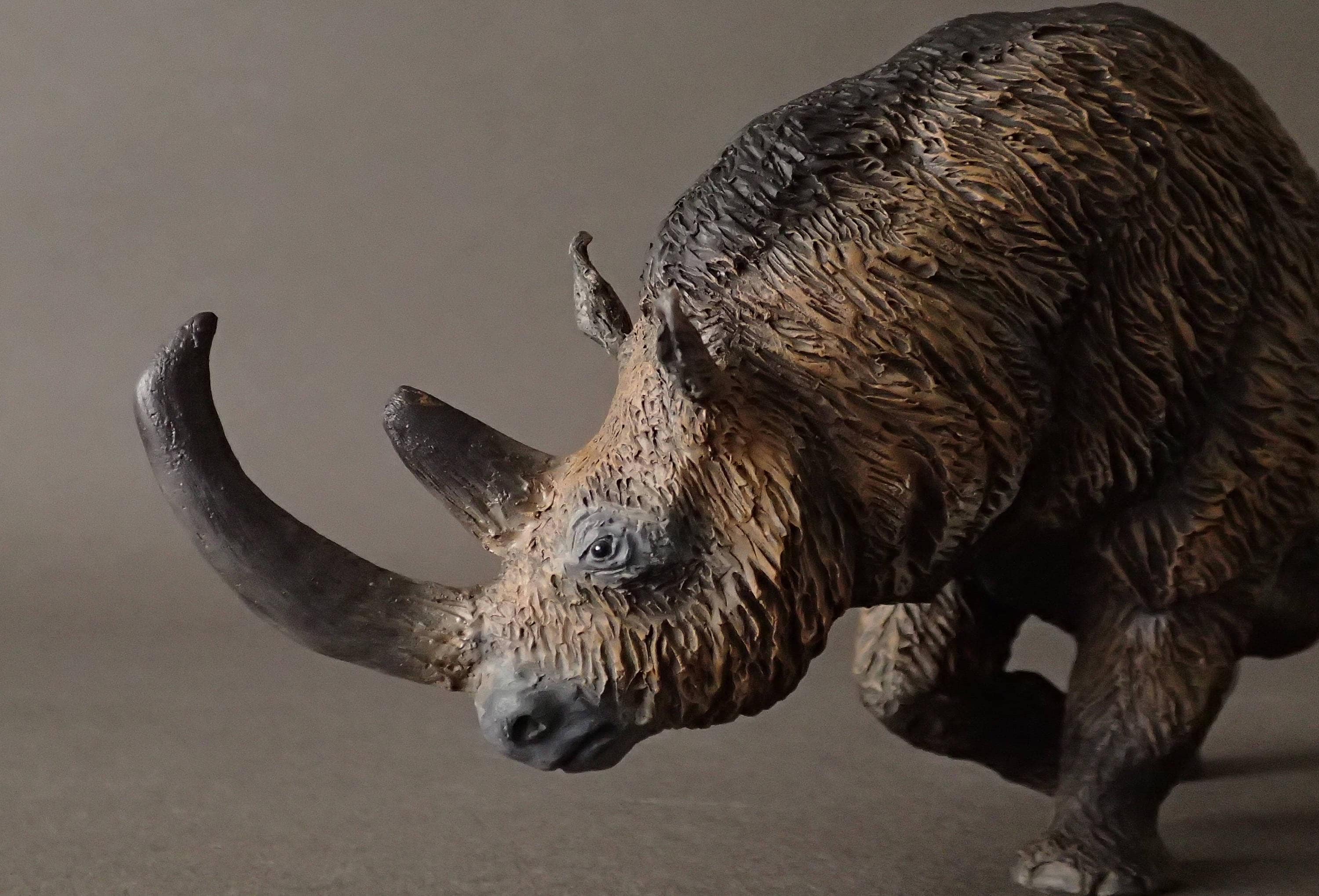 Woolly Rhinoceros Figure (coelodonta Antiquitatis) 1:20/resin/hand