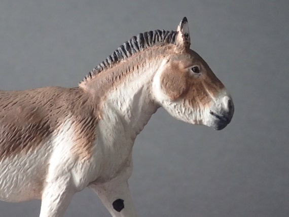 Modelo Kiang Macho Equus Kiang Escala 122 20resinapintado A Manocoleccionismo