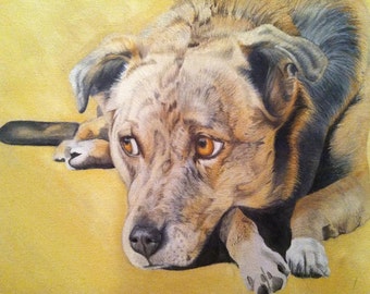 May include: A watercolor painting of a brown and white dog with a sad expression. The dog is lying down with its head resting on its paws. The background is a light yellow.