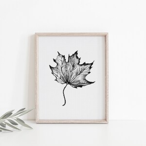Ahornblatt Kreuzstichmuster Natur Botanische PDF Stickmuster