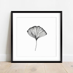 Puede incluir: Una ilustración en blanco y negro de una hoja de ginkgo, enmarcada en un marco negro.
