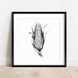 Peut inclure: Illustration en noir et blanc d'un épi de maïs avec des feuilles.