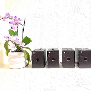 Vintage Kodak Brownie Camera Collection: Early 1900s Display Set