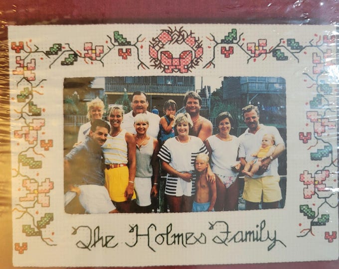 Family Name Picture Frame Cross Stitch Kit. FREE SHIPPING. Good Condition.