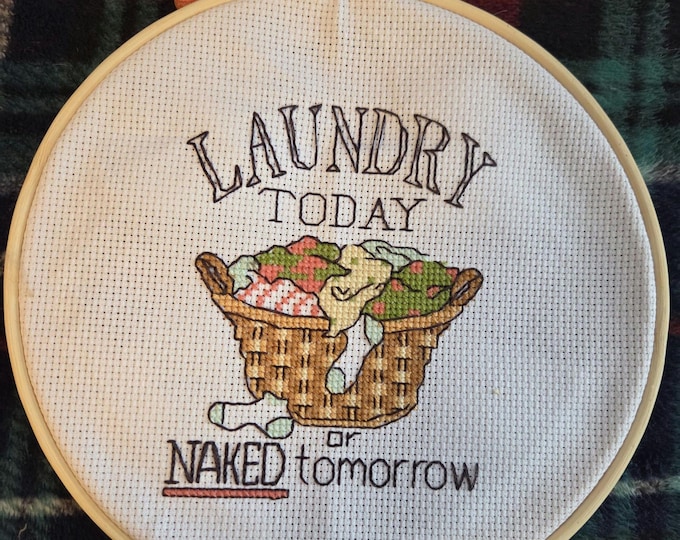 Laundry Today or Naked Tomorrow Handmade Embroidered Picture in 7inch Hoop with Felt Backing. Free Shipping. Some glue markings on back.