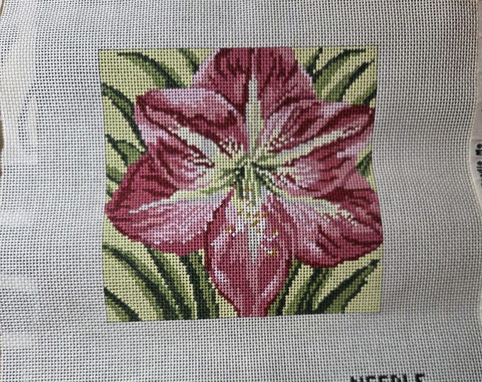 Needle Crossings 211-13 Pink Amaryllis Needlepoint Canvas.  13 Mesh 7"x7". Preowned Estate Sale Canvas Rolled. Free Shipping.