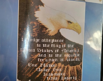 Janlynn Pledge of Allegiance Stamped Cross Stitch Kit. FREE SHIPPING. Good Condition.