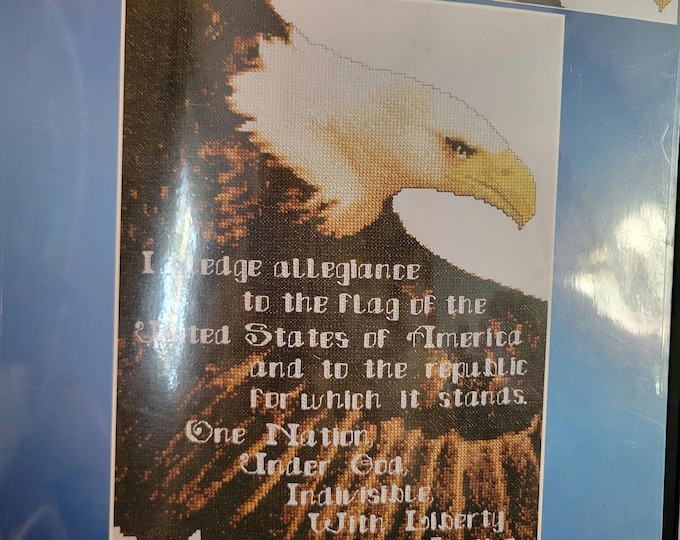 Janlynn Pledge of Allegiance Stamped Cross Stitch Kit. FREE SHIPPING. Good Condition.