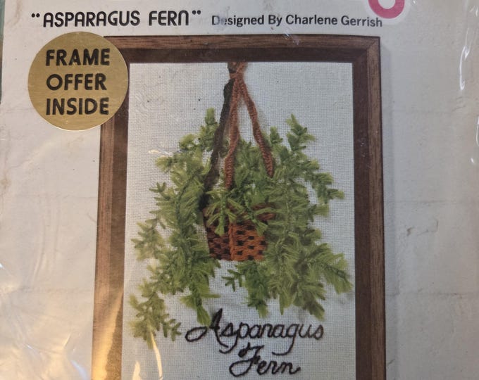 Jiffy Stitchery Asparagus Fern Crewel Kit. FREE SHIPPING. Not Opened, Older Condition.