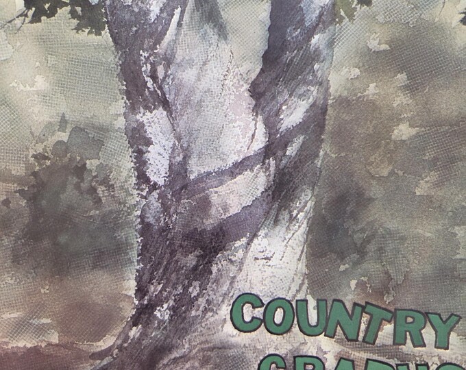 Country Graphs Cross Stitch Pattern. FREE SHIPPING. Preowned Older Used Condition.