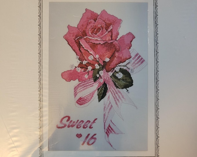 The Silver Lining Sweet 16 Cross Stitch Pattern. FREE SHIPPING. Good Condition.