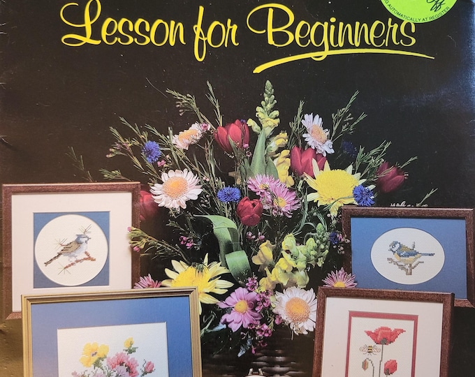 Gloria & Pat A Cross Stitch Lesson for Beginners Cross Stitch Pattern. FREE SHIPPING. Used Condition.