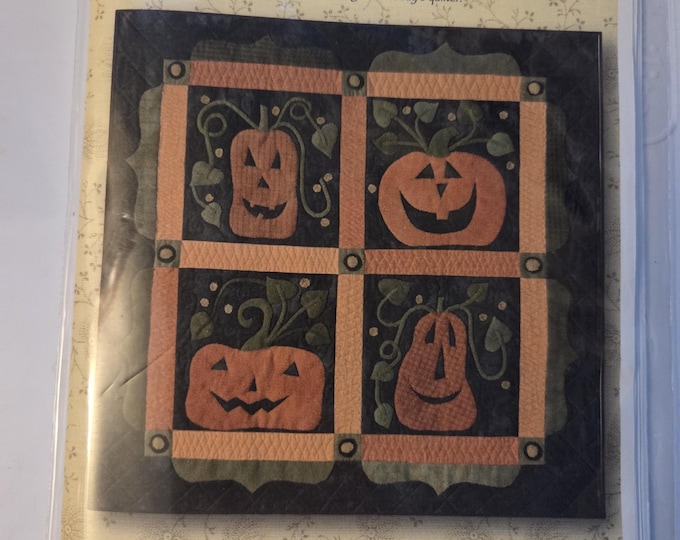 Linen Closet Designs Wacky Jacks Quilt Pattern. Estate Preowned Like New Condition. Free SHIPPING.
