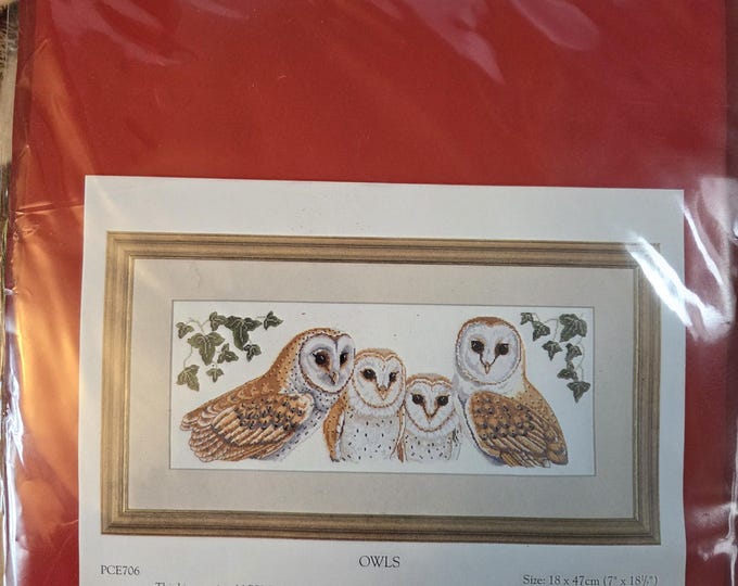 Anchor Owls Cross Stitch Kit. FREE SHIPPING. Preowned Good Condition.