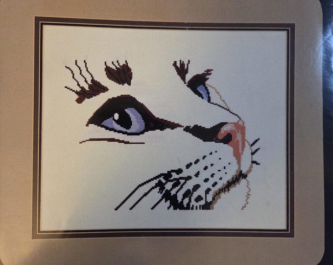 Eva Brent Cat Eye Cross Stitch Pattern. FREE SHIPPING. Used Pattern.