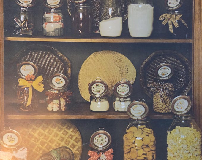 French Jar Designs Cross Stitch Pattern - FREE SHIPPING. Used Condition.