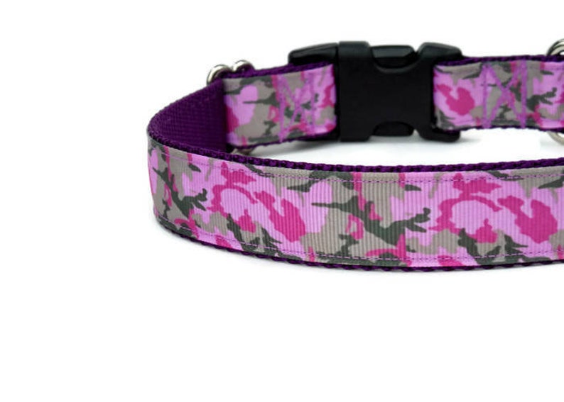PINK ARGYLE Dog COLLAR ~ PLAIN or CUSTOM BUCKLE ~ With or Without Matching Leash