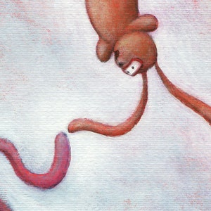 May include: A brown rabbit with long ears is upside down with its head pointing towards the bottom of the image. The rabbit's ears are bent and the rabbit's body is curved. The rabbit is on a white background.