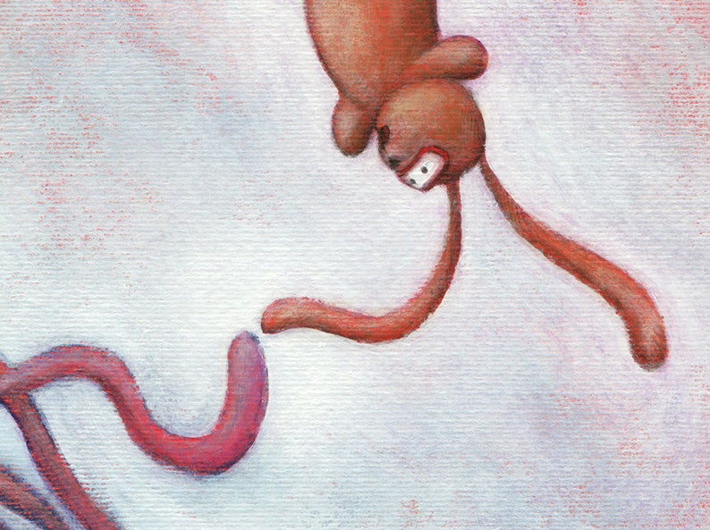 May include: A brown rabbit with long ears is upside down with its head pointing towards the bottom of the image. The rabbit's ears are bent and the rabbit's body is curved. The rabbit is on a white background.