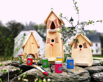 Kit nichoir à peindre, nichoir à oiseaux naturel, peindre soi-même villa à oiseaux, cadeau d'adieu XXL pour éducatrice assistante maternelle école enseignante