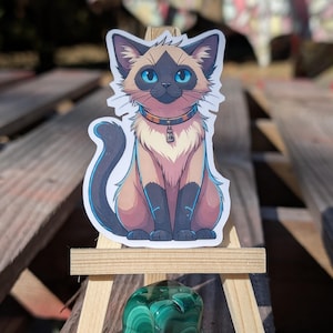 Sticker chat siamois - D'une beauté saisissante